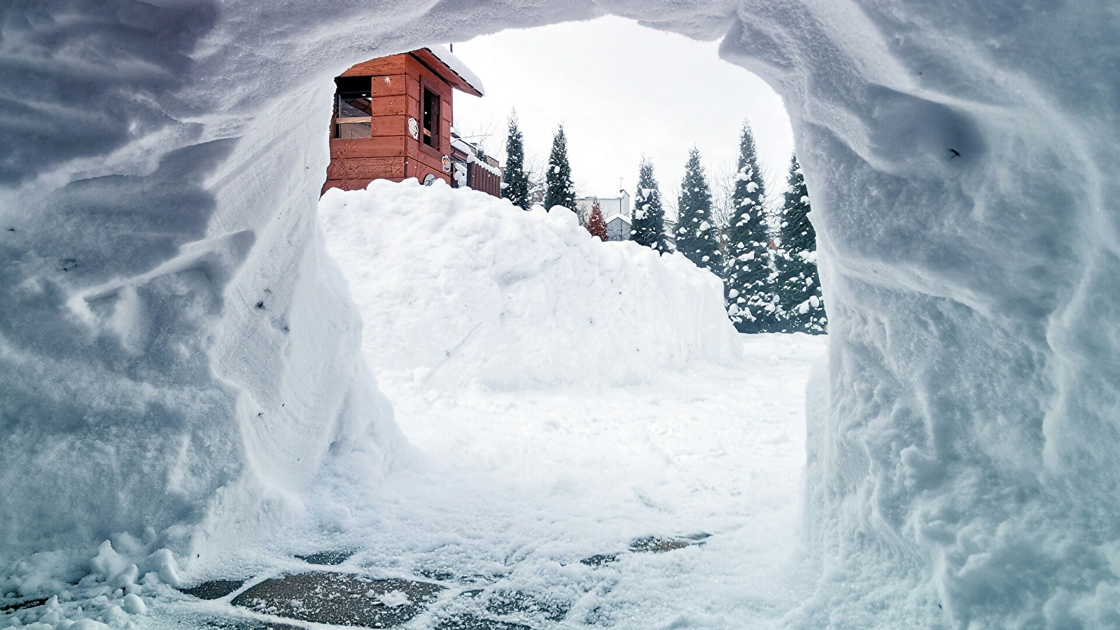 Ecole de ski du Haut-Jura - Lajoux : Randonnée Igloo / Chamallow