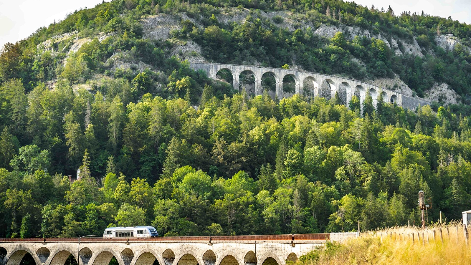 Excursion accompagnée particuliers - Ligne des Hirondelles