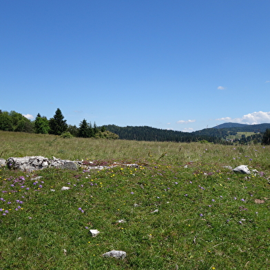 Sentier des Lapidaires